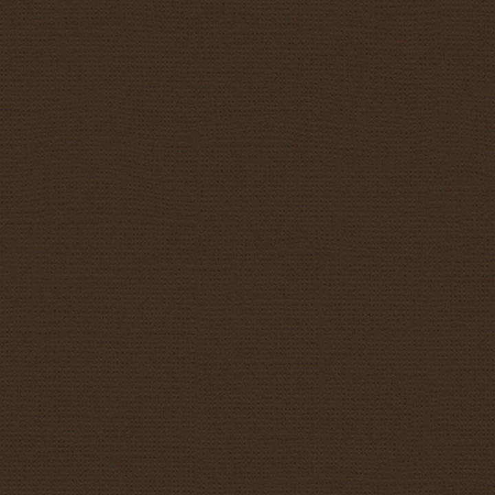 My Colors Cardstock 12x12 Cafe Ole