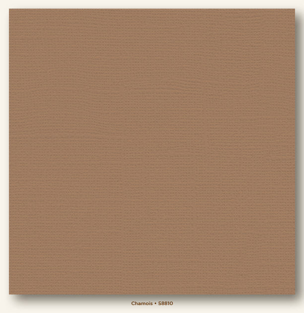My Colors Cardstock 12x12 Chamois