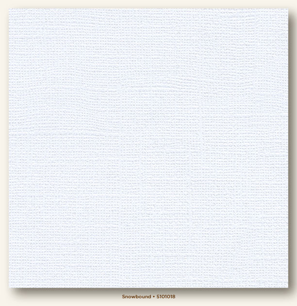 My Colors Cardstock 12x12 Snowbound
