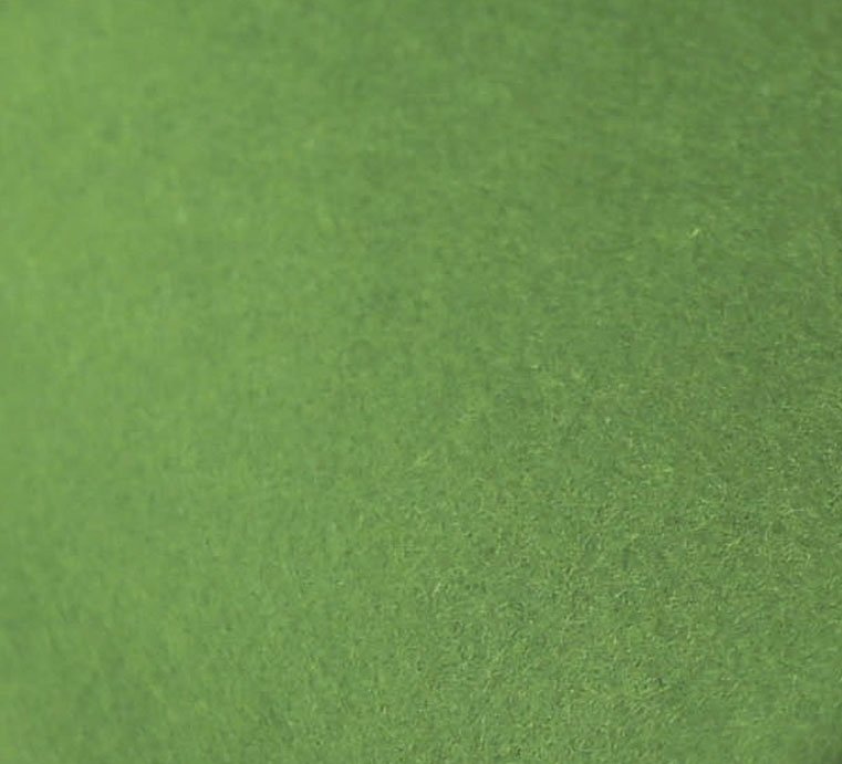 Felt - Moss