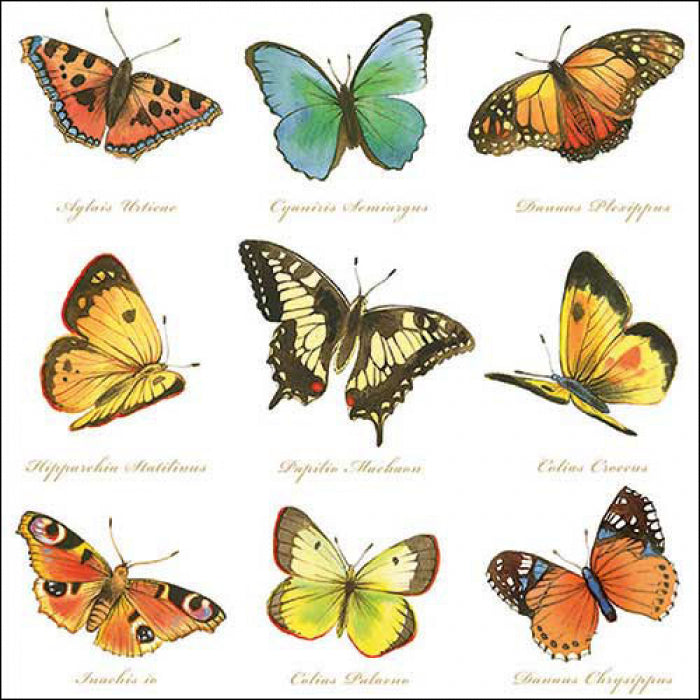 NAPKIN ART LIVE NAPKINS (SOLD SETS OF 2)