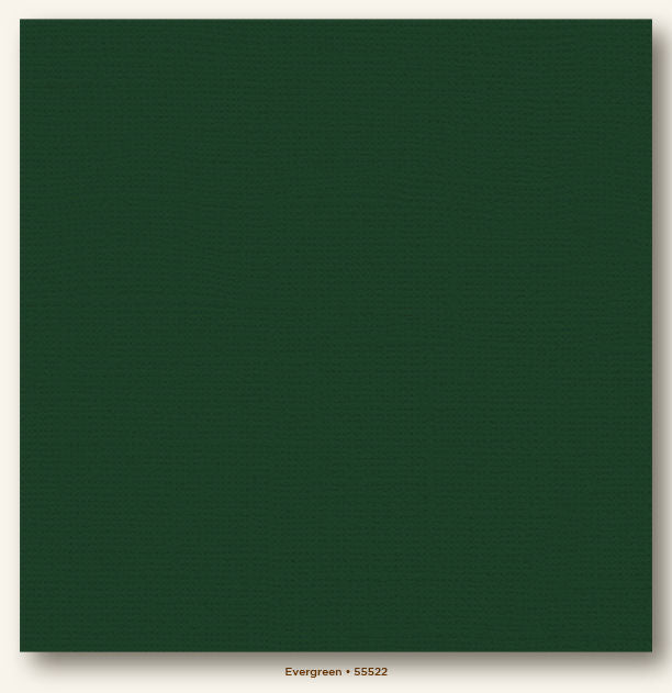 My Colors Cardstock 12x12 Evergreen