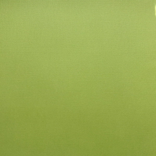 Encore 12x12 Cardstock: Green Tomato