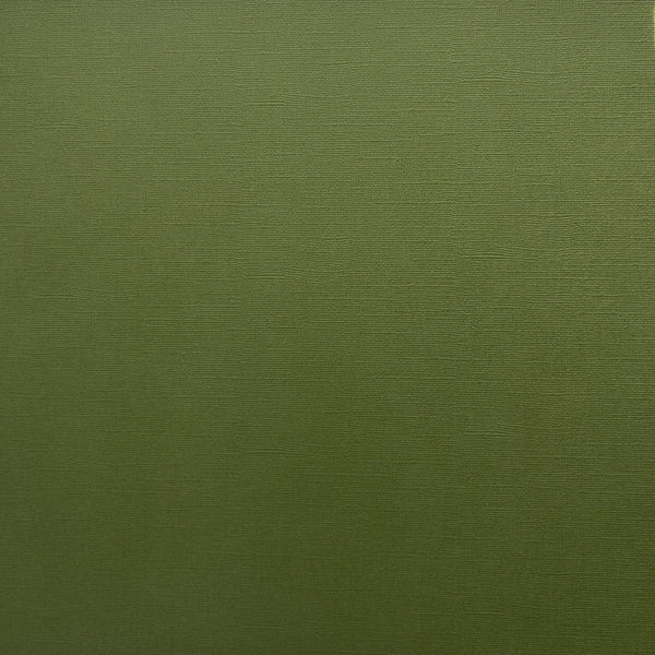 Encore 12x12 Cardstock: Pesto Green