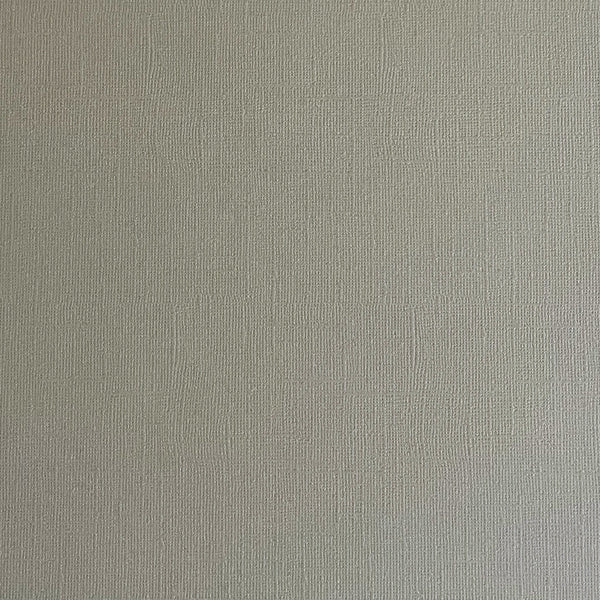 Encore 12x12 Cardstock: Putty Gray