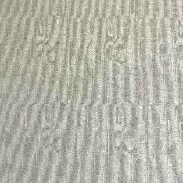 Encore 12x12 Cardstock: Sand Dollar