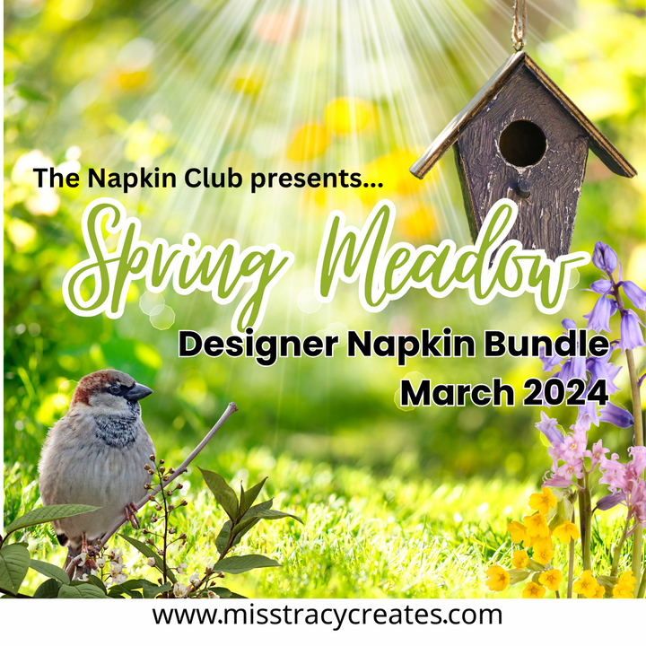 Exclusive Napkins for The Napkin Club Members - 2024 Complete Bundles