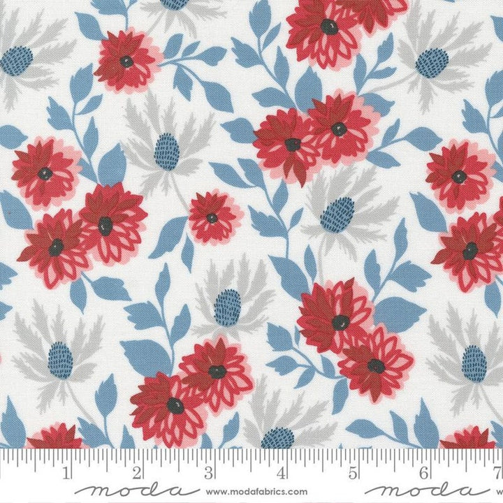 Exclusive Fabrics for Fabric Fan Club Members- May 2024 Star Spangled Summer