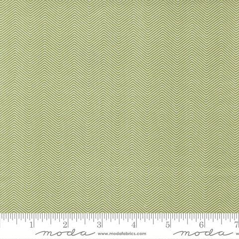 Exclusive Fabrics for Fabric Fan Club Members - November 2022- Frosty Wishes