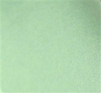 Felt - Fresh Mint